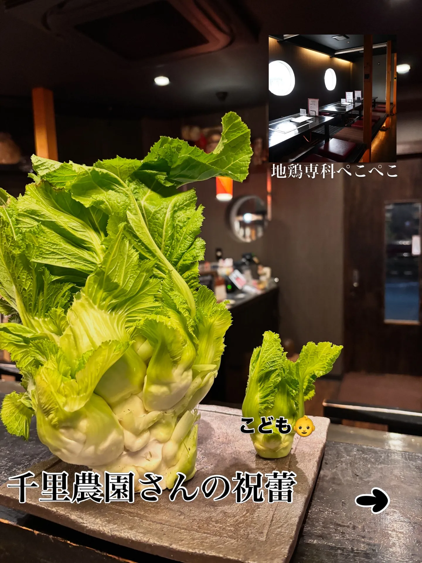 冬の終わりから早春の☺️