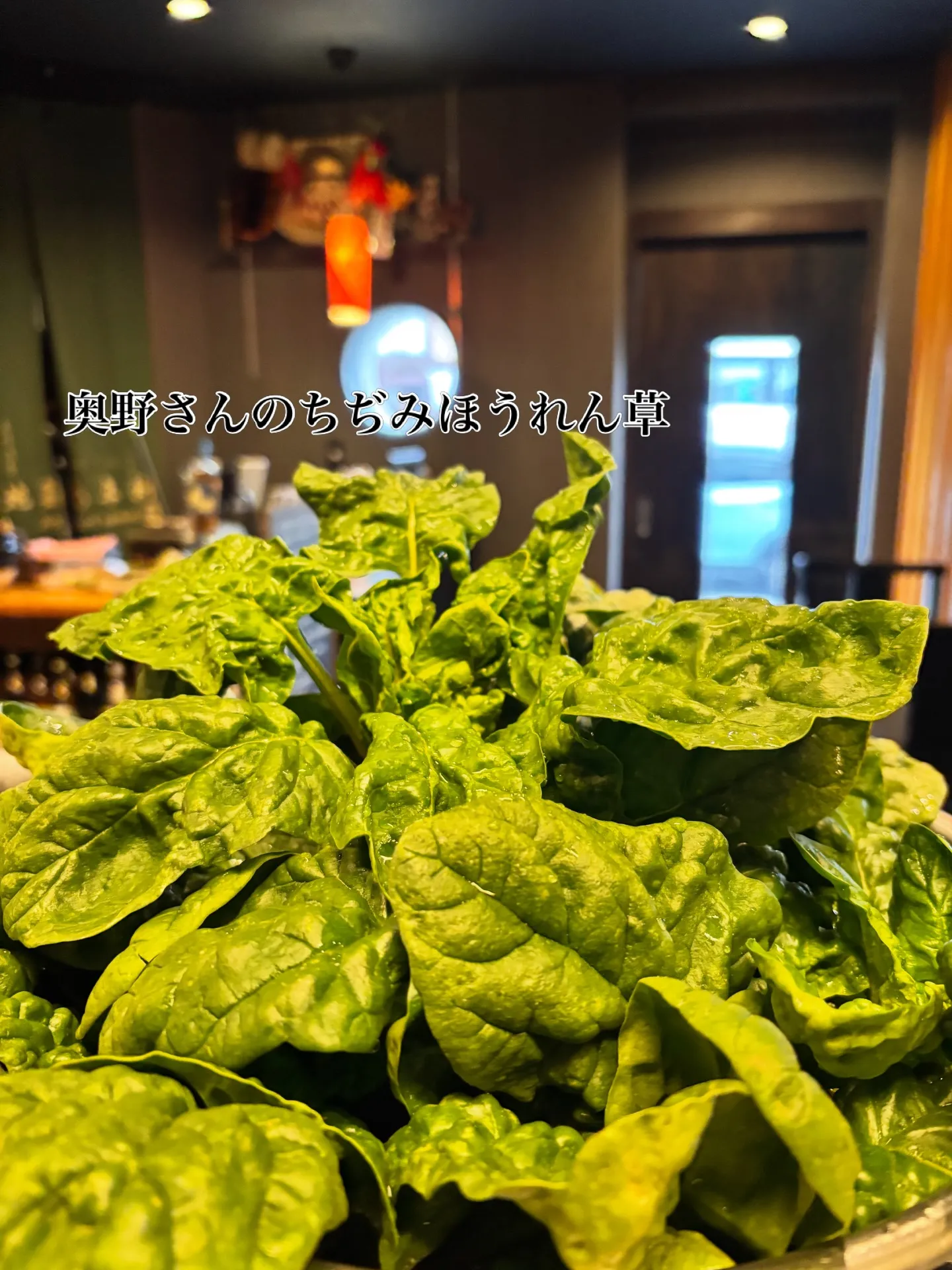 冬の終わりから早春の☺️