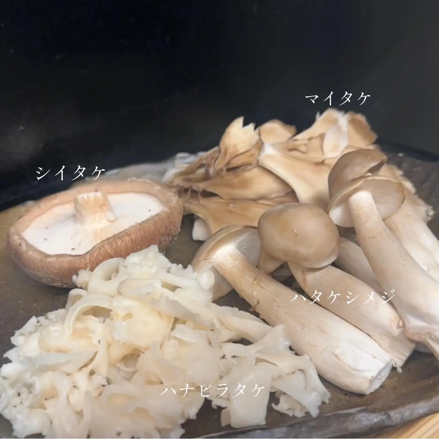 こんばんは🐈‍⬛🐾