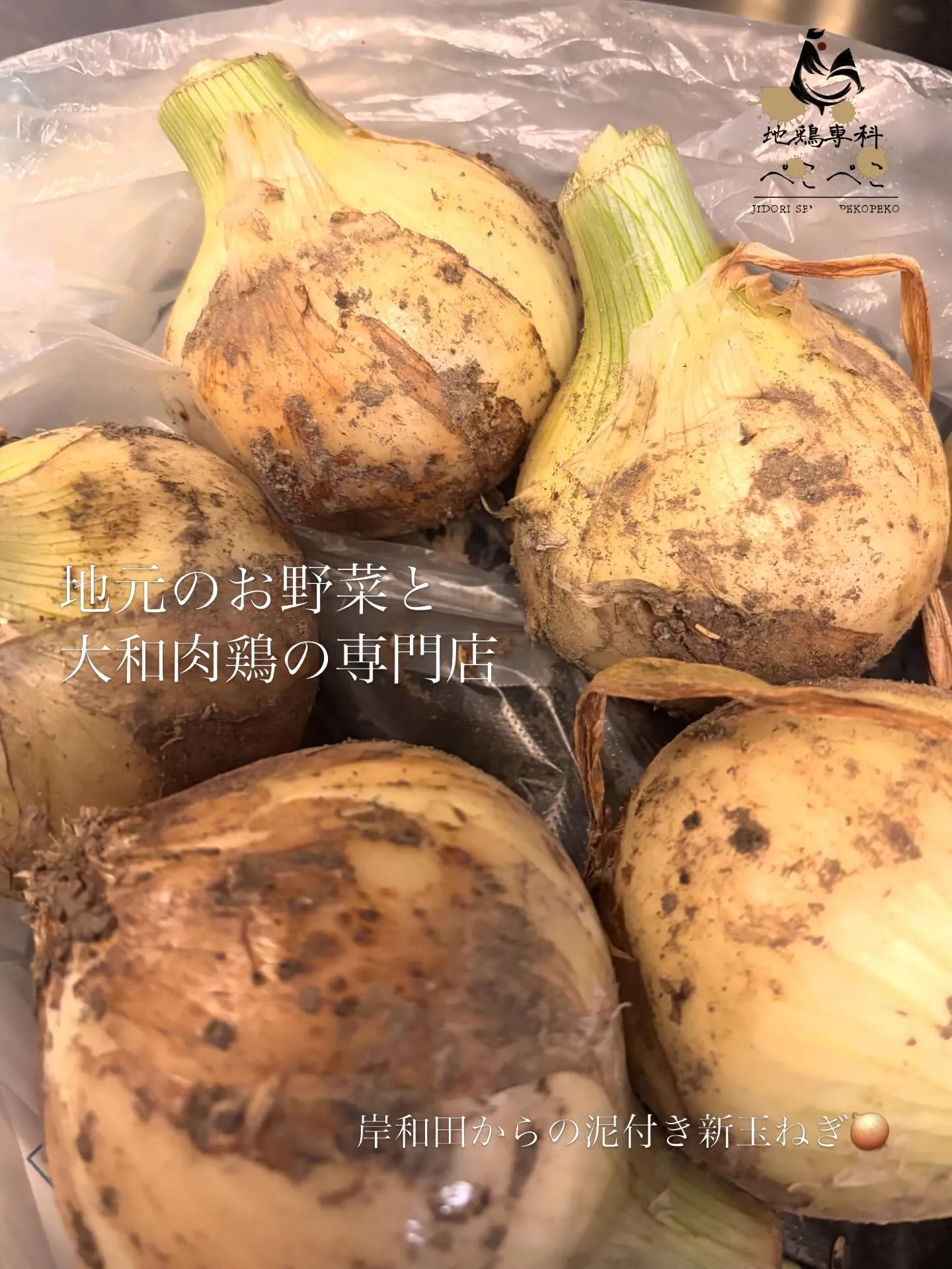 今週も、沢山のお客様のご来店ありがとうございました!🕊️🫶🏻